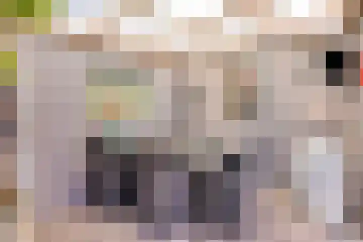 Marterstraat 25 Volkel thumbnail 38