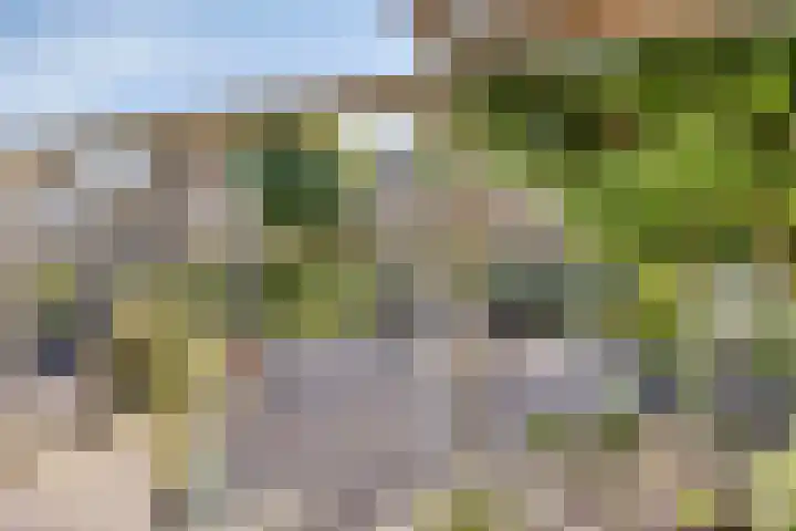Marterstraat 25 Volkel thumbnail 39