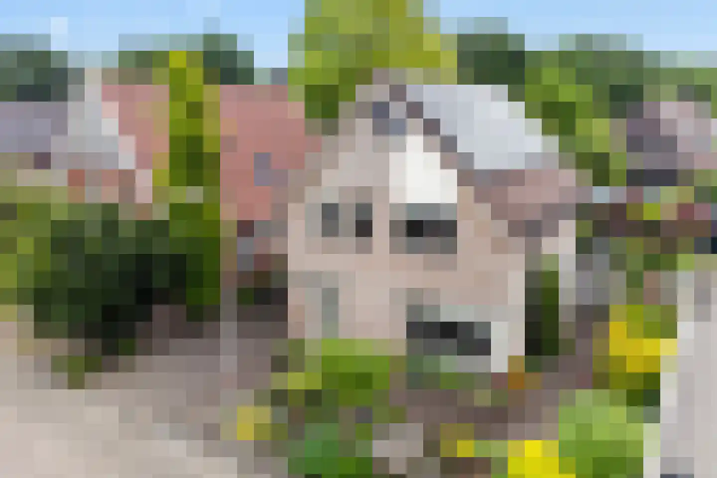 Marterstraat 60 Hengelo thumbnail 33