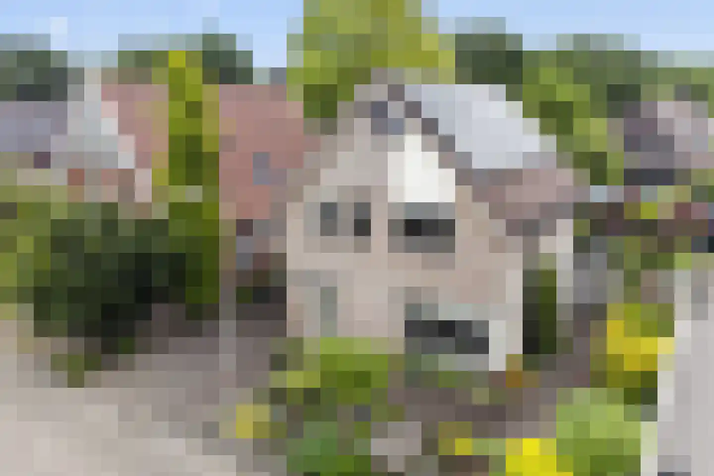 Marterstraat 60 Hengelo thumbnail 39