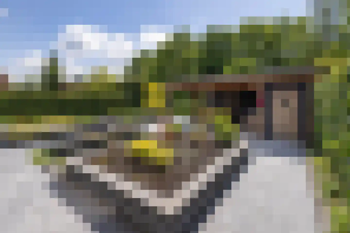 Marterstraat 71 Hengelo thumbnail 32