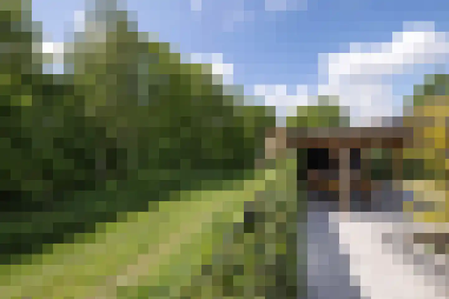 Marterstraat 71 Hengelo thumbnail 35
