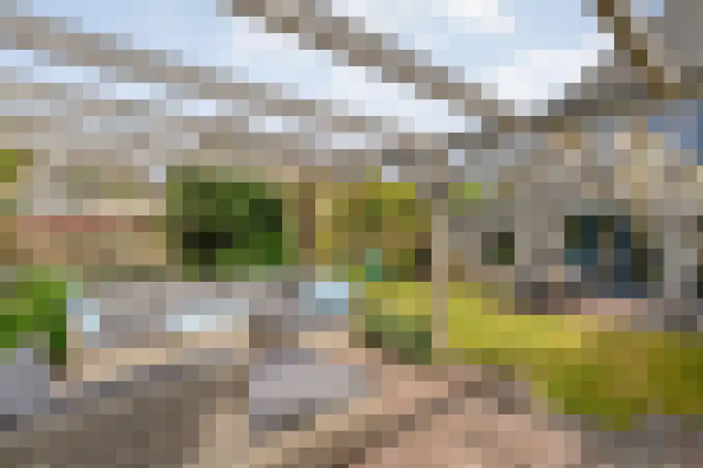 Marterveld 41 Zwolle thumbnail 45