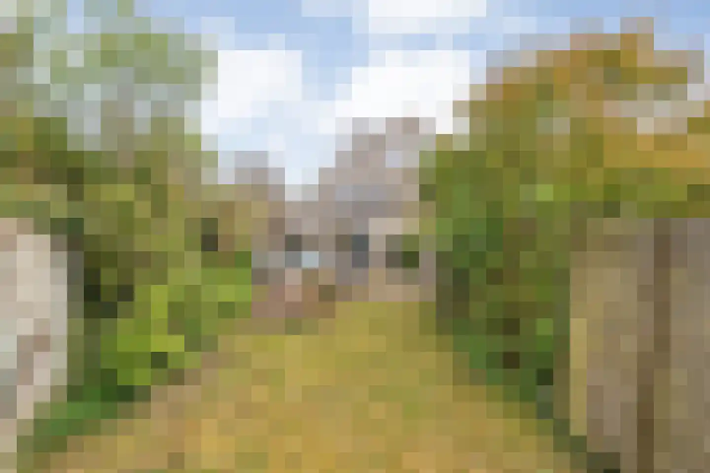 Marterveld 41 Zwolle thumbnail 48