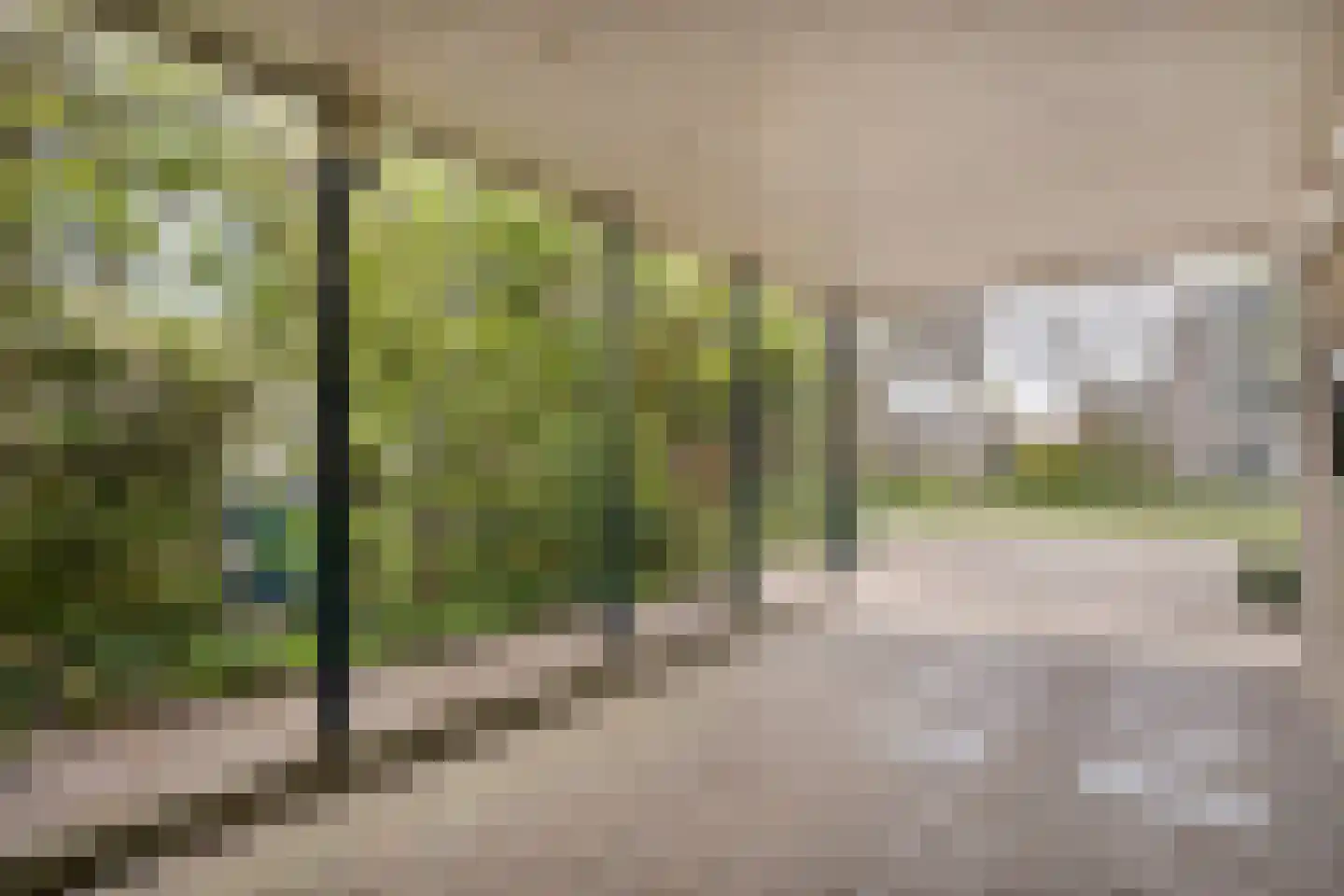 Marterveld 41 Zwolle thumbnail 50