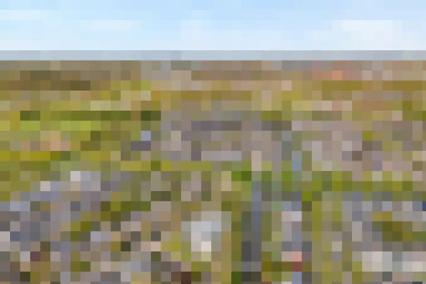 Marterveld 41 Zwolle thumbnail 53