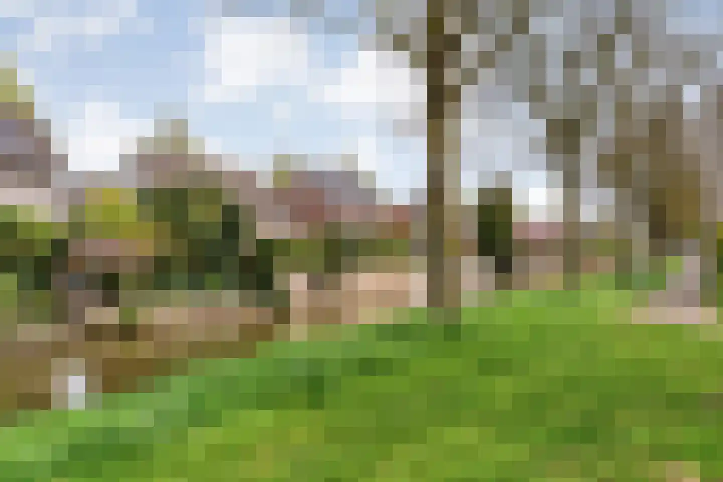 Marterveld 41 Zwolle thumbnail 62