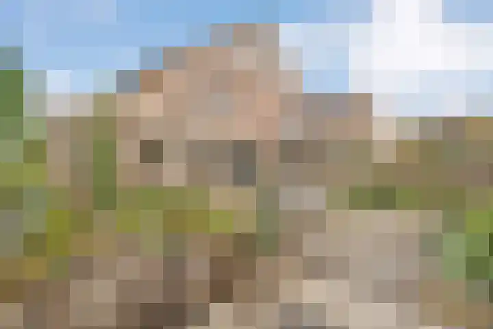 Marterveld 49 Zwolle thumbnail 27