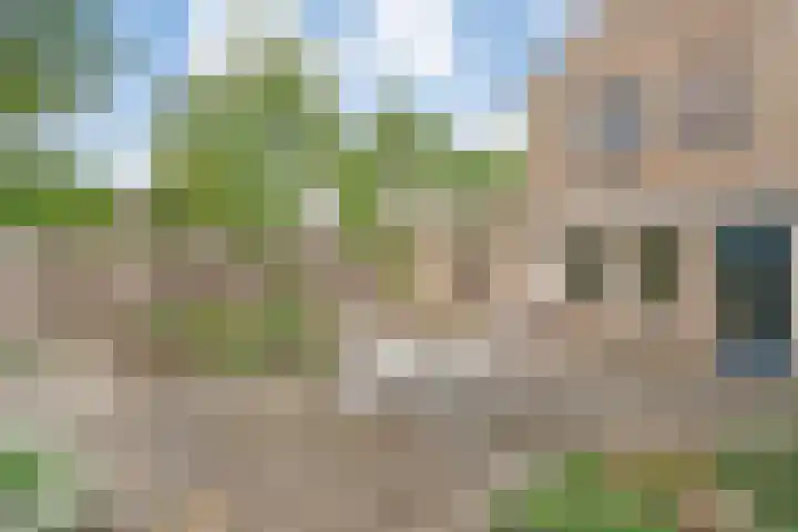 Marterveld 49 Zwolle thumbnail 28