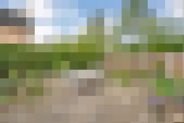 Marterveld 49 Zwolle thumbnail 29