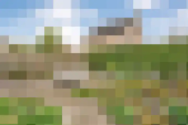 Marterveld 49 Zwolle thumbnail 30