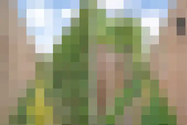 Marterveld 49 Zwolle thumbnail 31