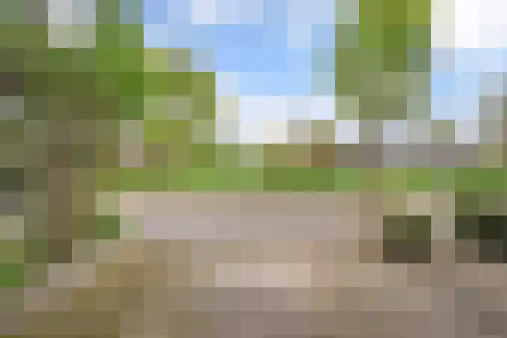 Marterveld 49 Zwolle thumbnail 32