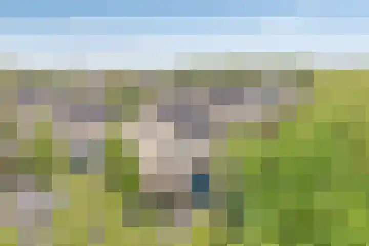 Marterveld 49 Zwolle thumbnail 33