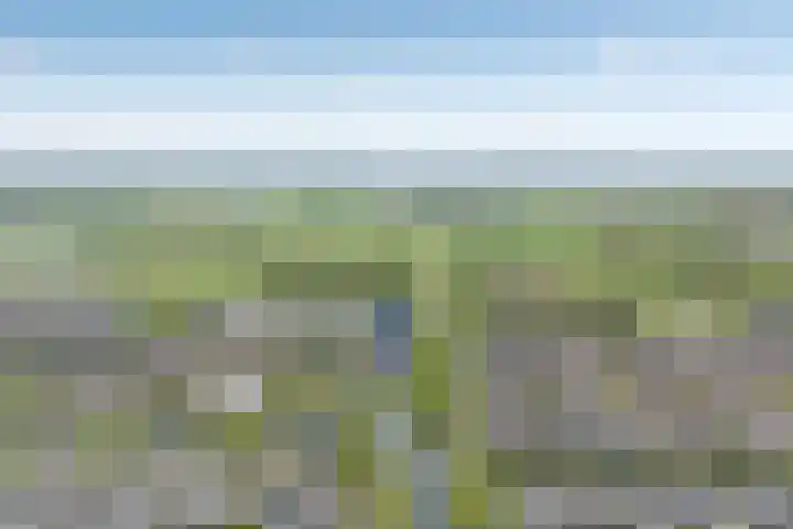 Marterveld 49 Zwolle thumbnail 34