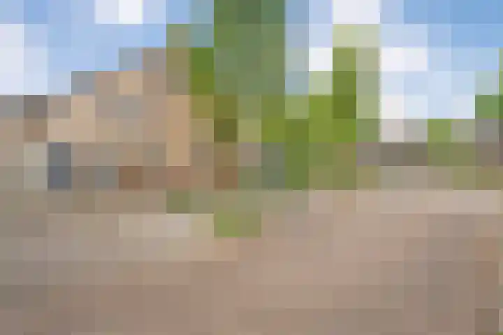 Marterveld 49 Zwolle thumbnail 36