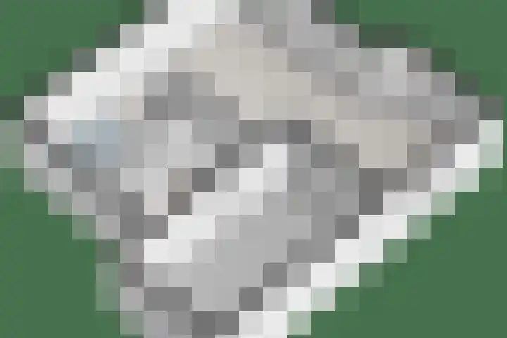 Marterveld 49 Zwolle thumbnail 40