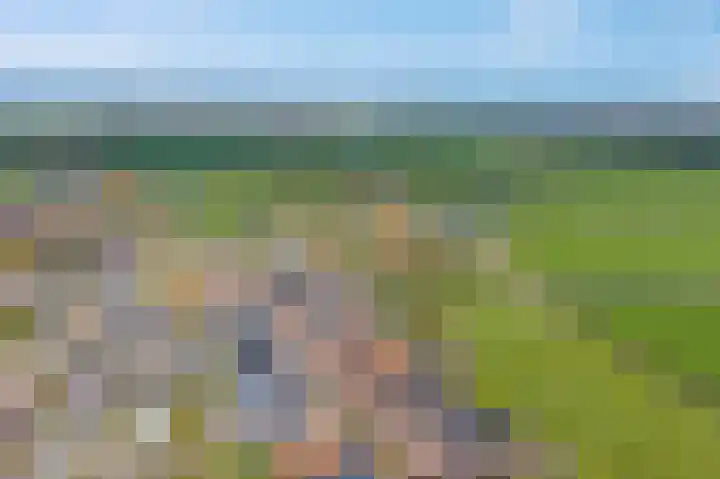 Marterweide 1 Veghel thumbnail 30