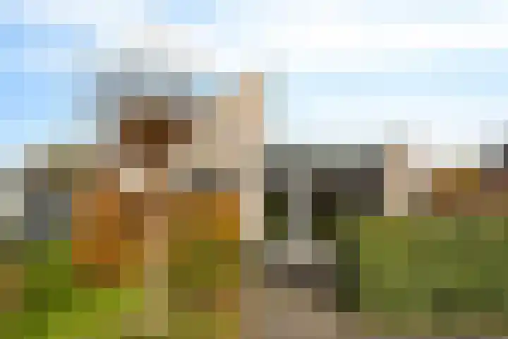 Marterweide 1 Veghel thumbnail 35