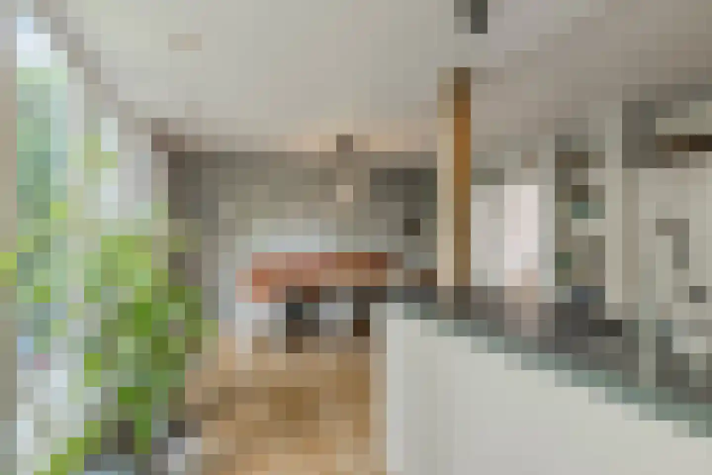 Marterweide 14 Veghel thumbnail 13
