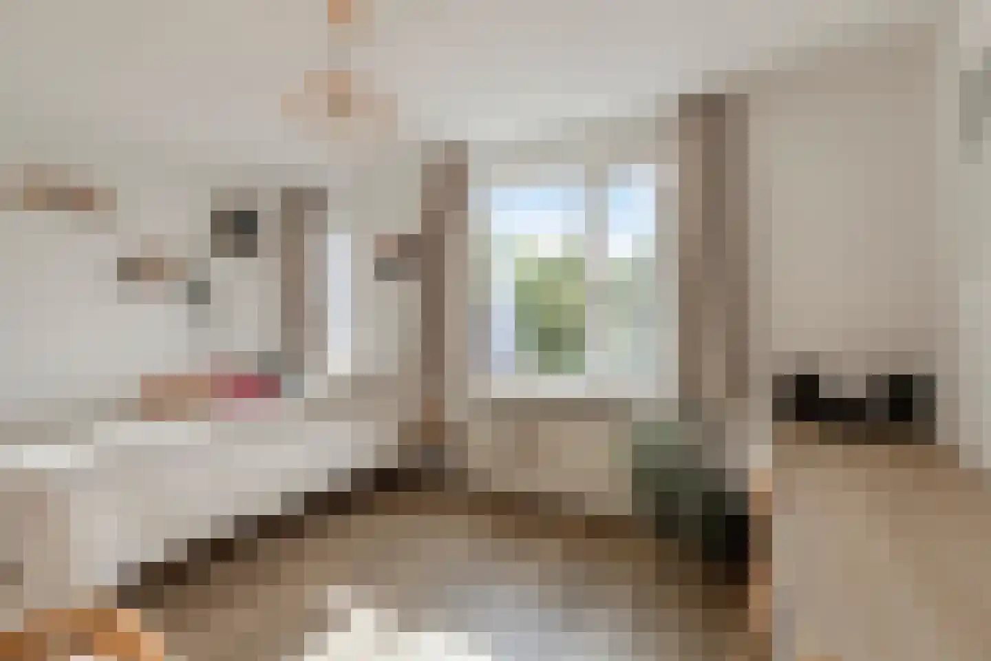 Marterweide 14 Veghel thumbnail 21