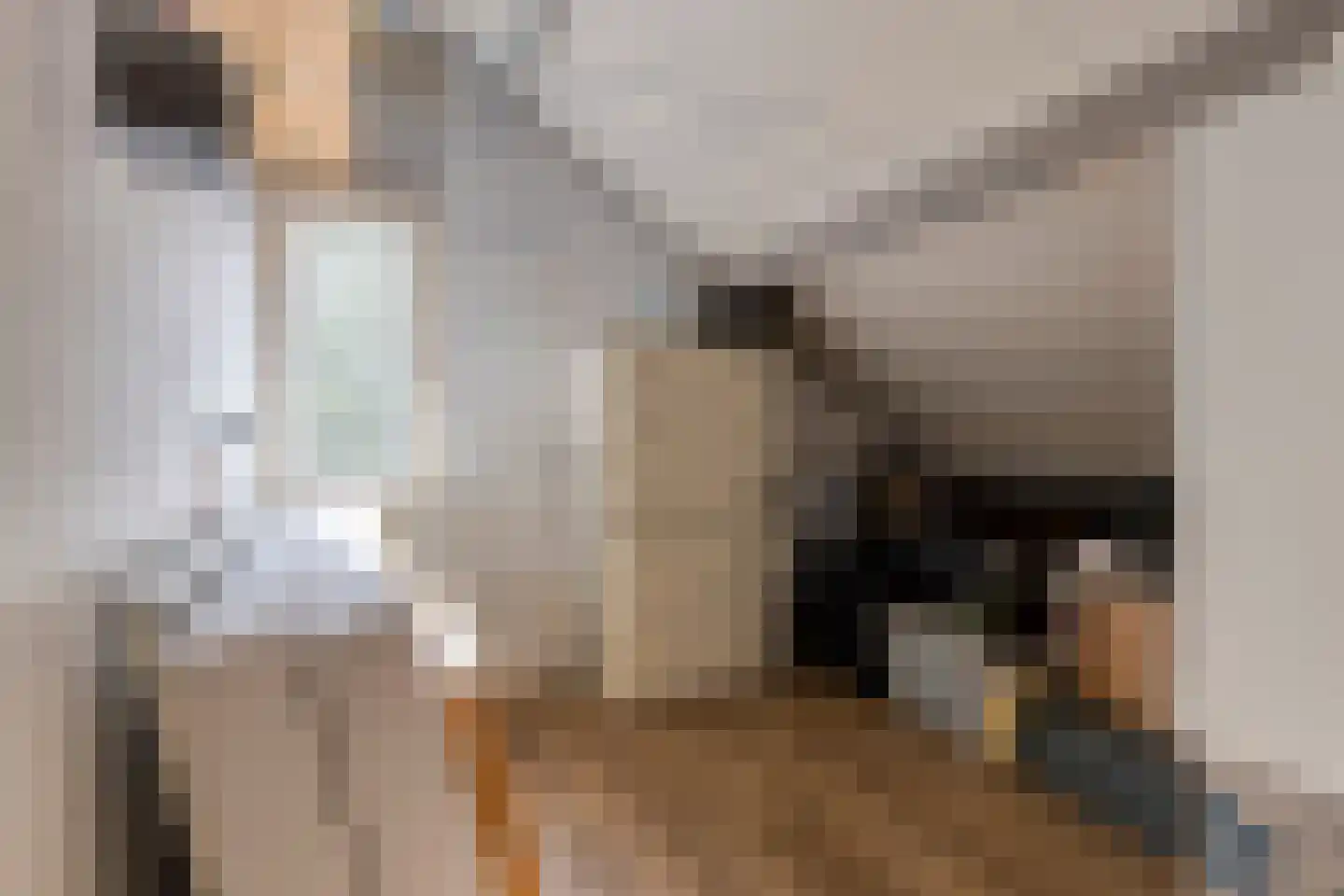 Marterweide 14 Veghel thumbnail 26