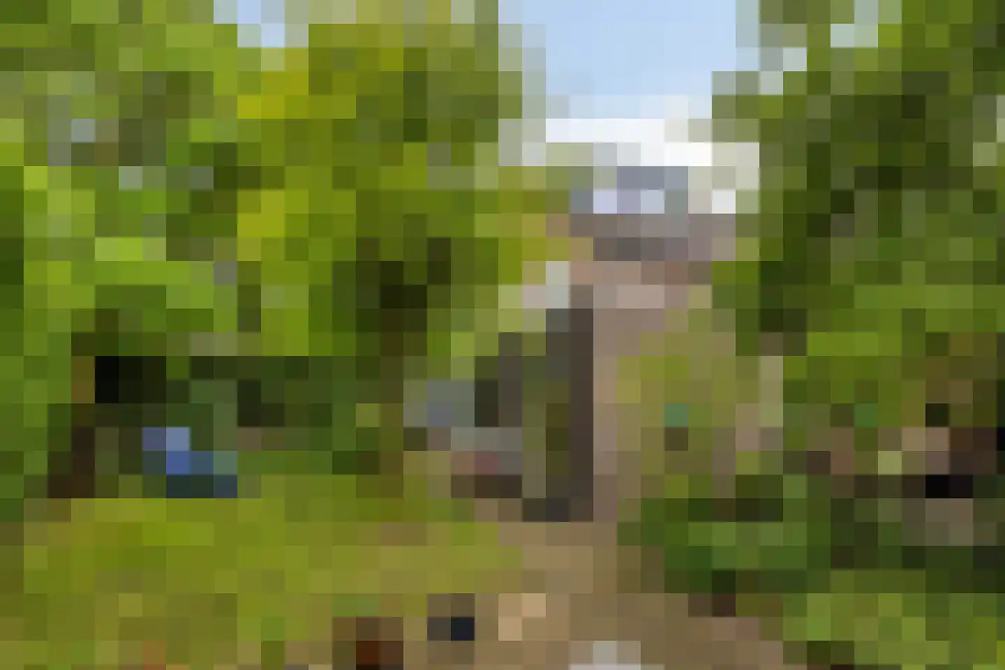 Marterweide 14 Veghel thumbnail 32