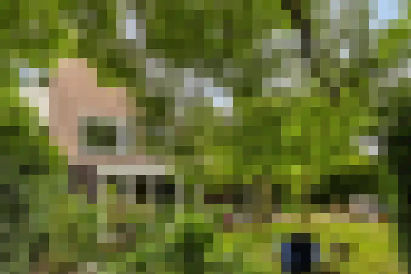Marterweide 14 Veghel thumbnail 33