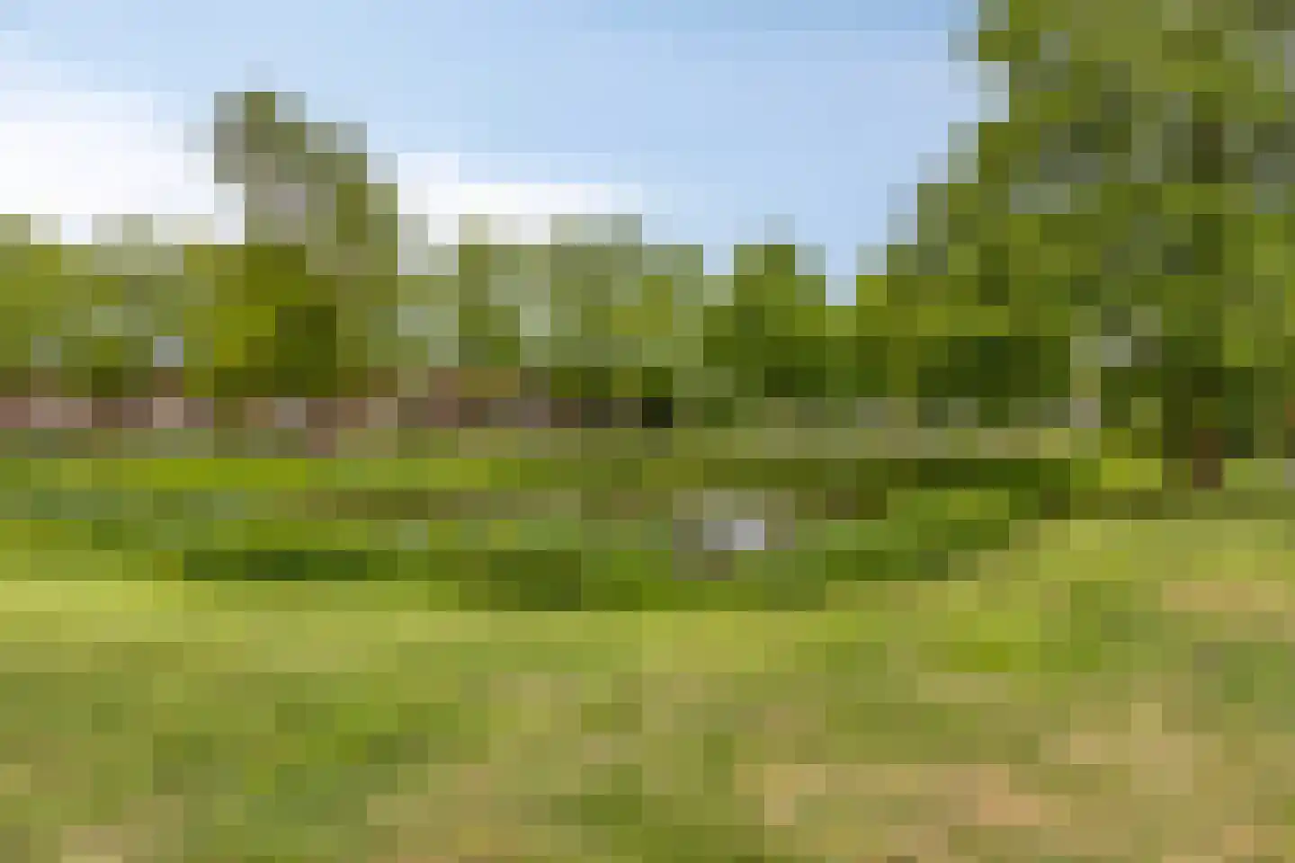 Marterweide 14 Veghel thumbnail 36