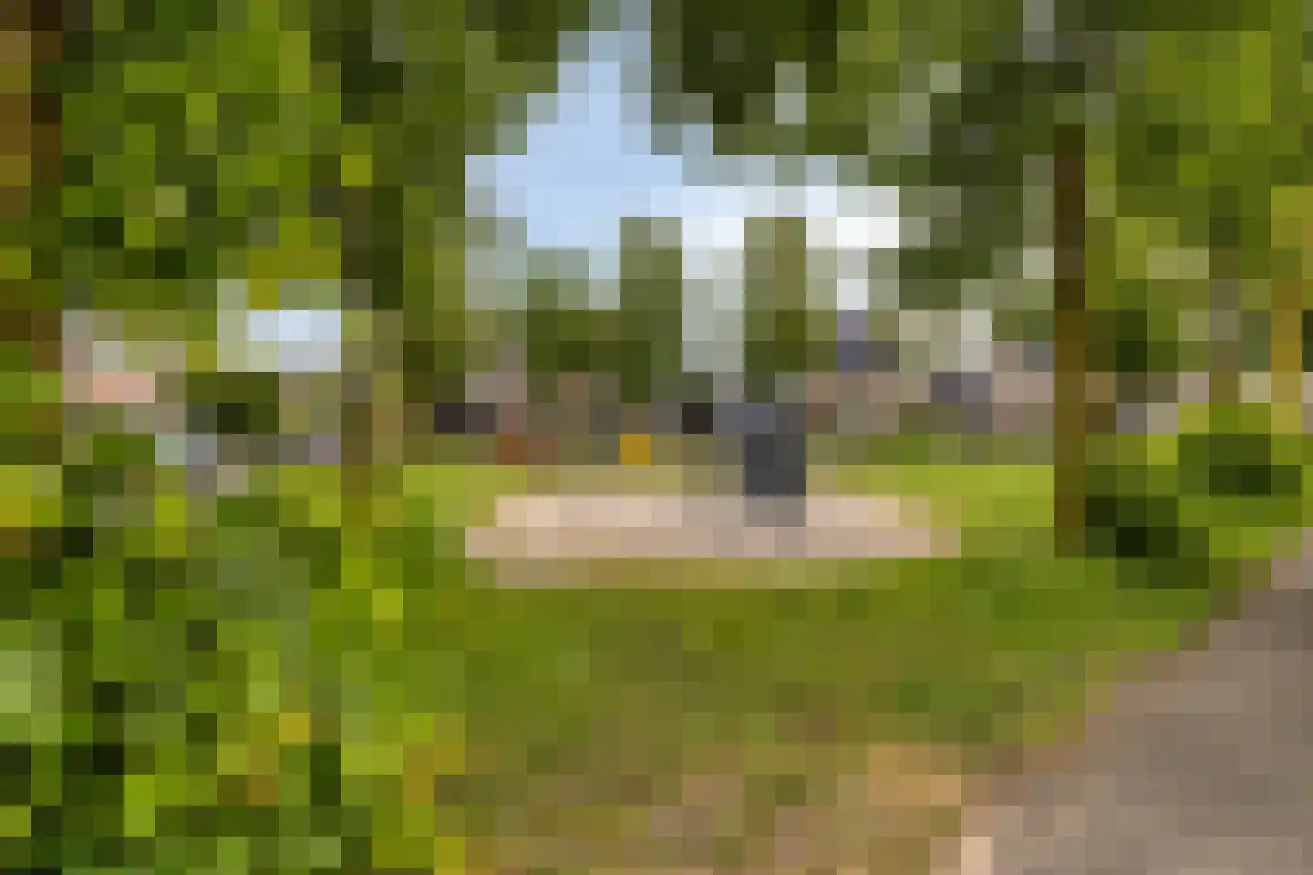 Marterweide 14 Veghel thumbnail 37