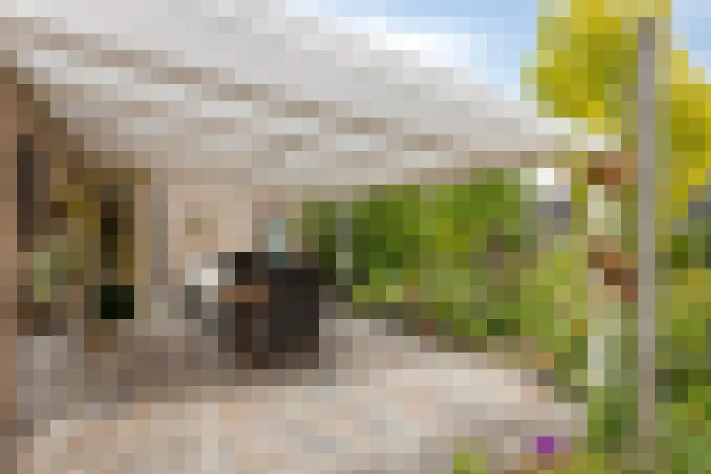 Marterweide 20 Veghel thumbnail 15