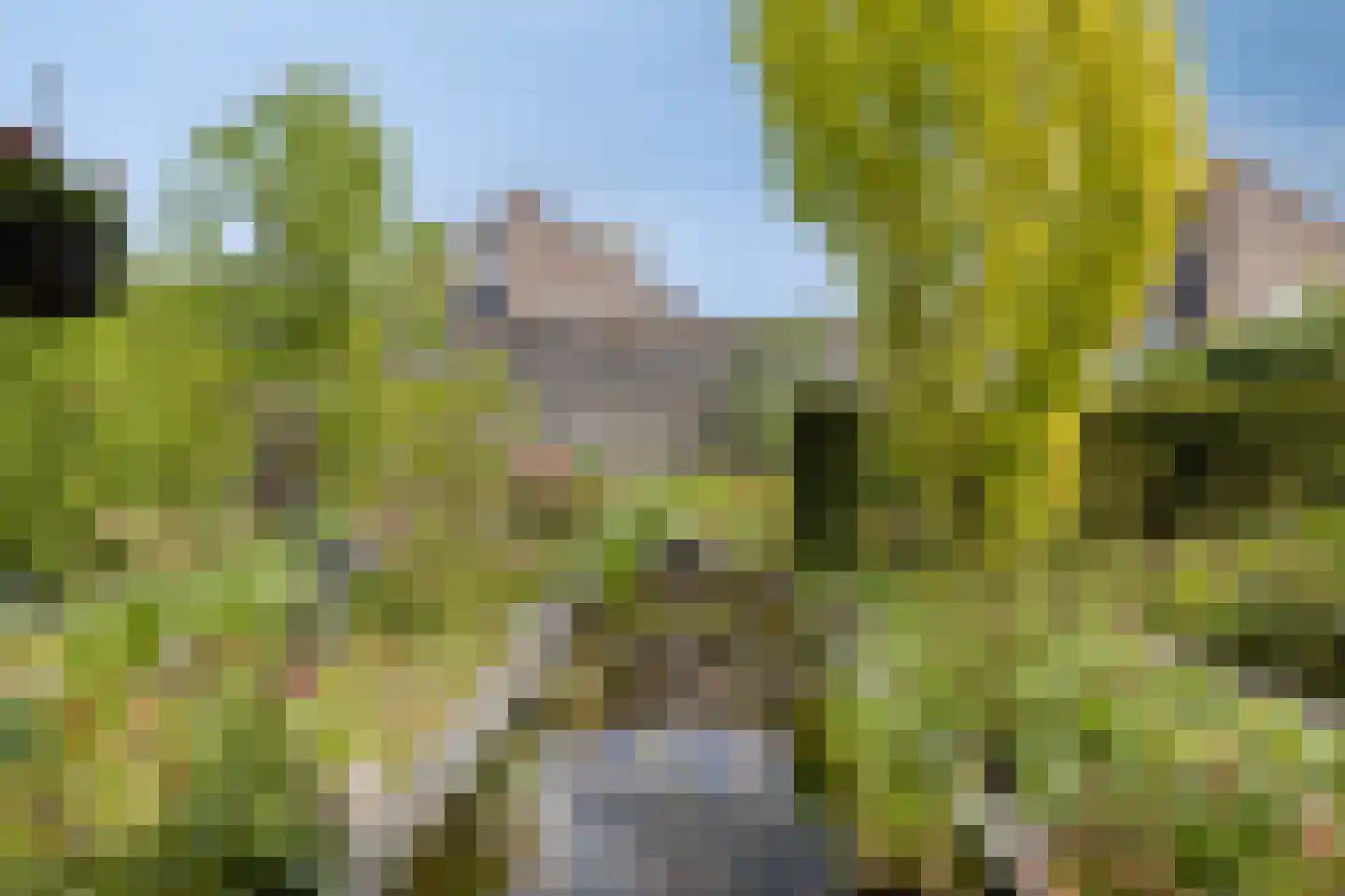 Marterweide 20 Veghel thumbnail 16
