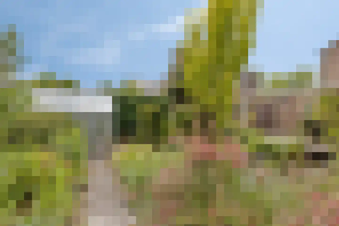 Marterweide 20 Veghel thumbnail 17