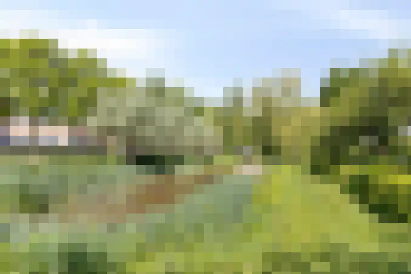 Marterweide 20 Veghel thumbnail 20