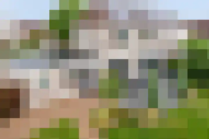 Martha de Reigerstraat 11 Coevorden thumbnail 44