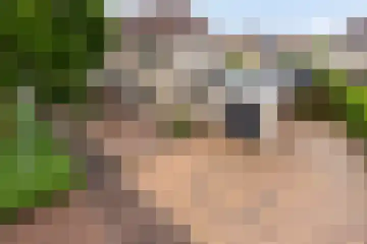 Martha de Reigerstraat 11 Coevorden thumbnail 46