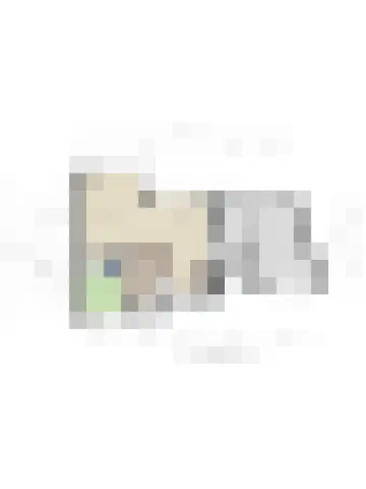 Martha de Reigerstraat 11 Coevorden thumbnail 48