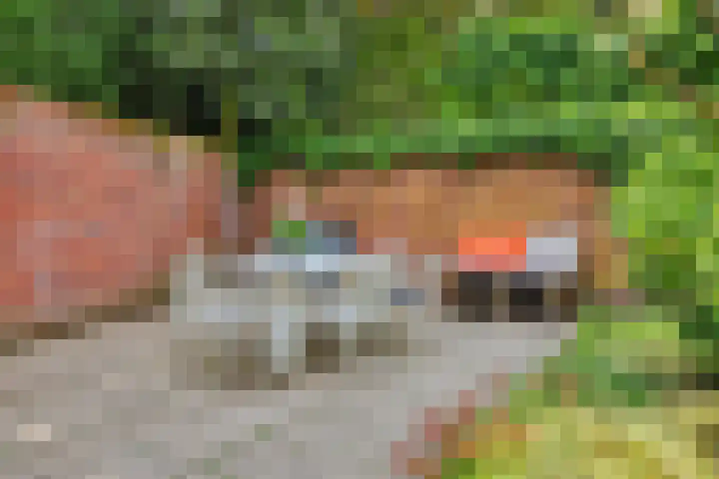 Marthalaan 16 Enschede thumbnail 38