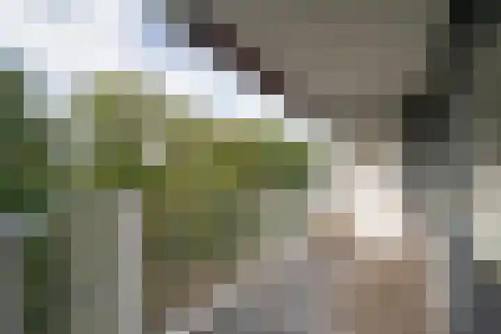 Marthalaan 2 17 Enschede thumbnail 24