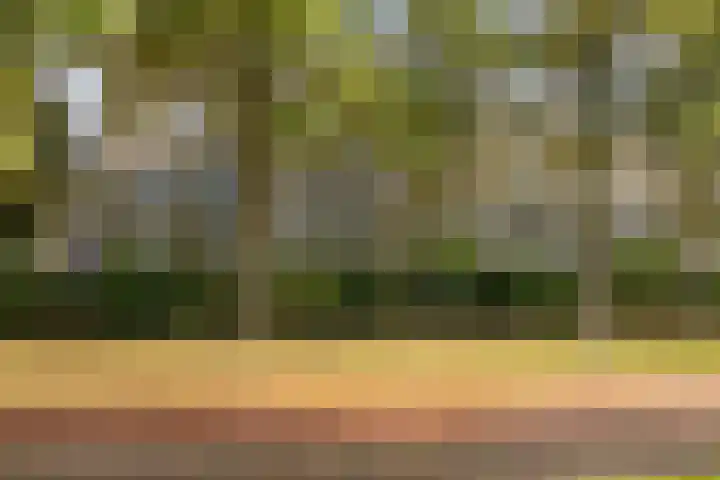 Marthalaan 2 17 Enschede thumbnail 5