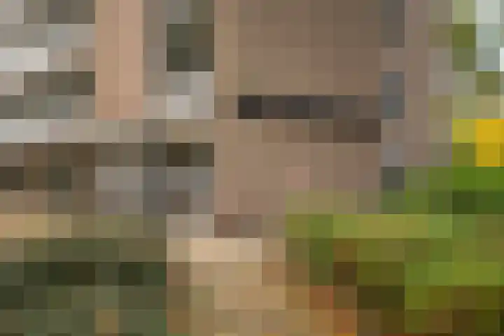 Marthalaan 2 17 Enschede thumbnail 6