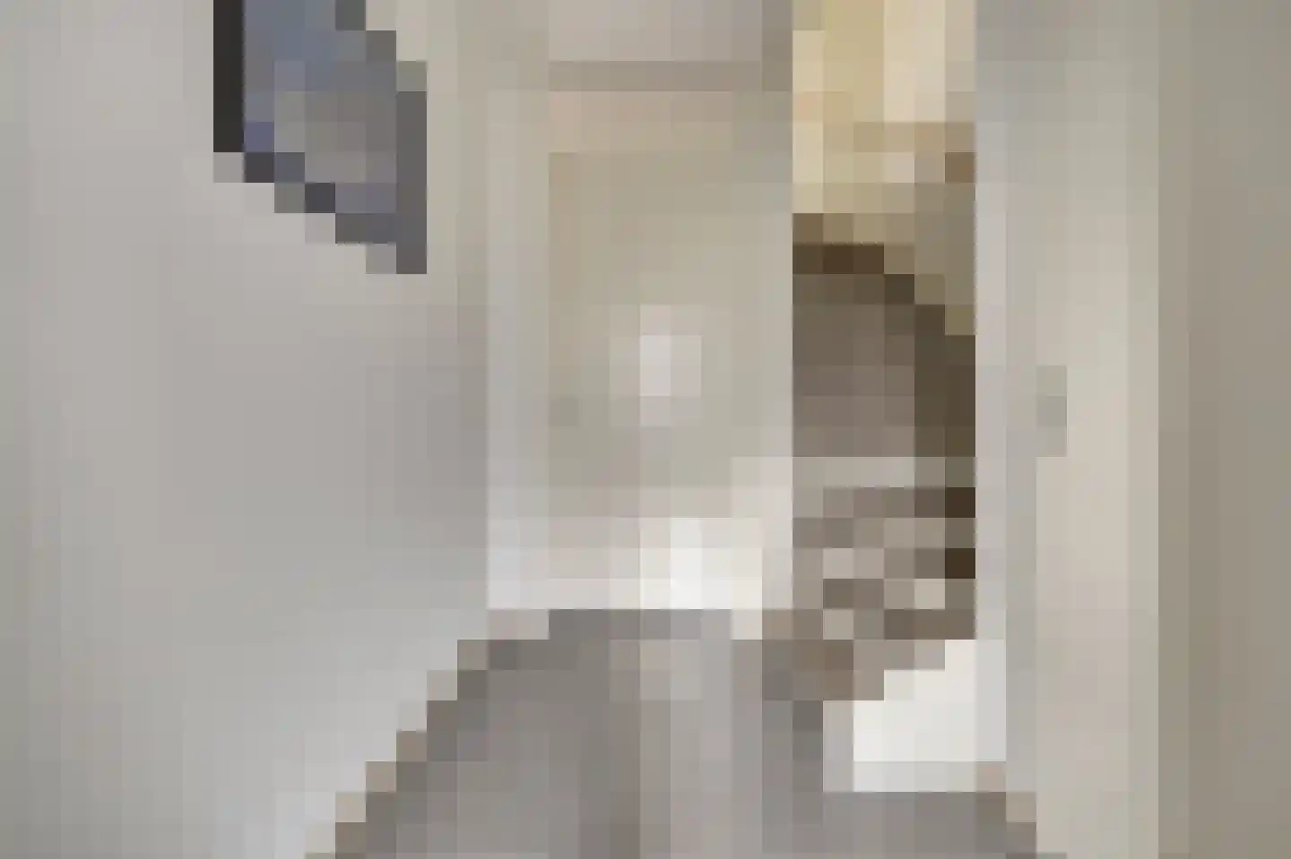 Marthalaan 203 Hoogvliet Rotterdam thumbnail 11