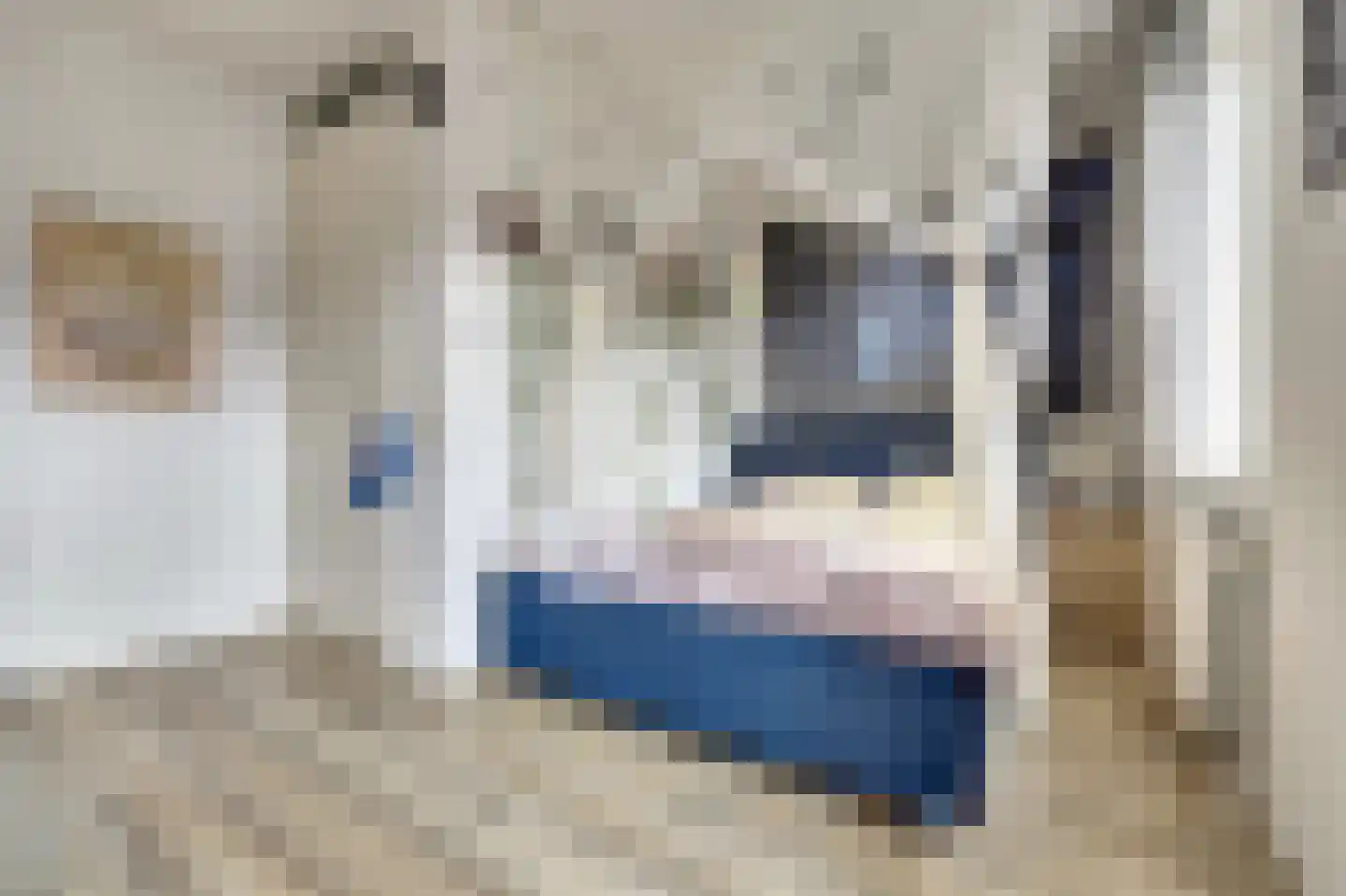 Marthalaan 203 Hoogvliet Rotterdam thumbnail 15