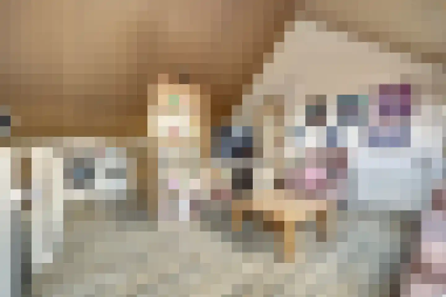Marthalaan 203 Hoogvliet Rotterdam thumbnail 20