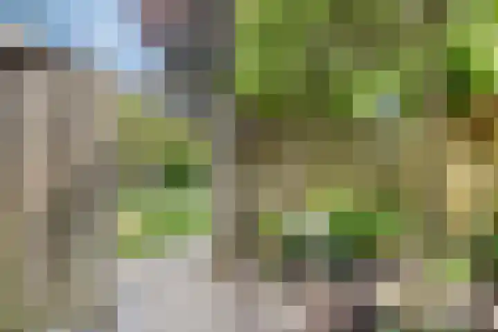 Marthalaan 22 Oldenzaal thumbnail 31