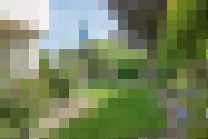Marthalaan 22 Oldenzaal thumbnail 32