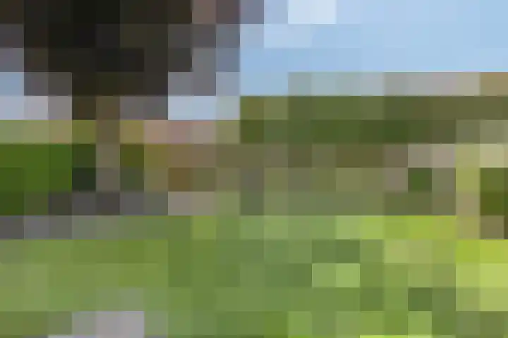 Marthalaan 22 Oldenzaal thumbnail 33