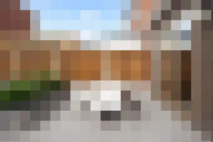 Martien Coppensstraat 14 Waalwijk thumbnail 18