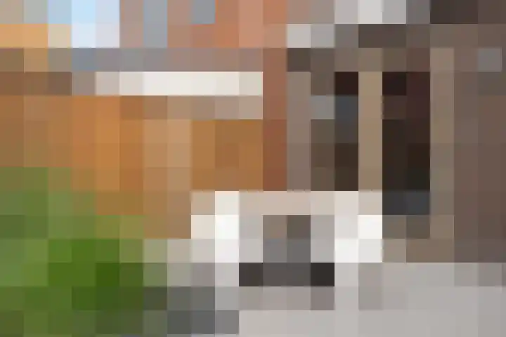 Martien Coppensstraat 14 Waalwijk thumbnail 22