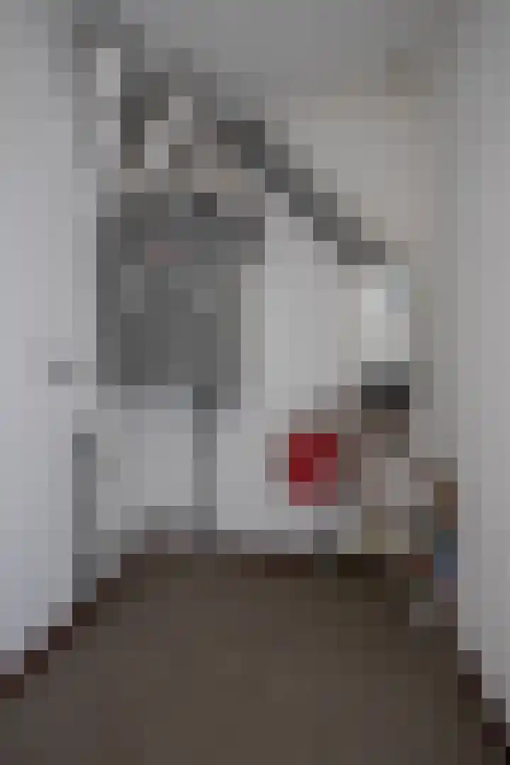 Martien Coppensstraat 18 Lieshout thumbnail 23